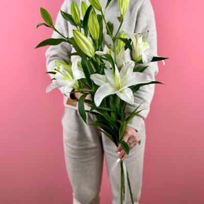 Лилия белая (3шт)