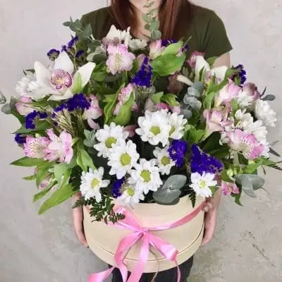  Композиция 279