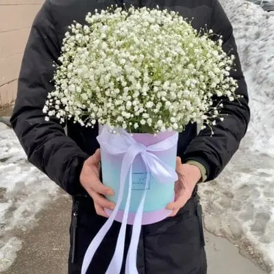 Белая гипсофила 9 шт в коробке
